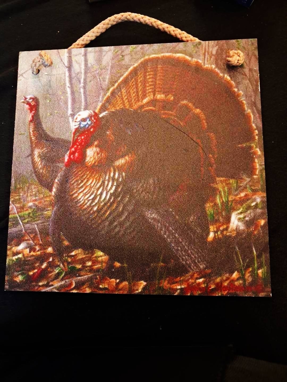 Rustic Brown Turkey Wall Art Print with Rope Hanger